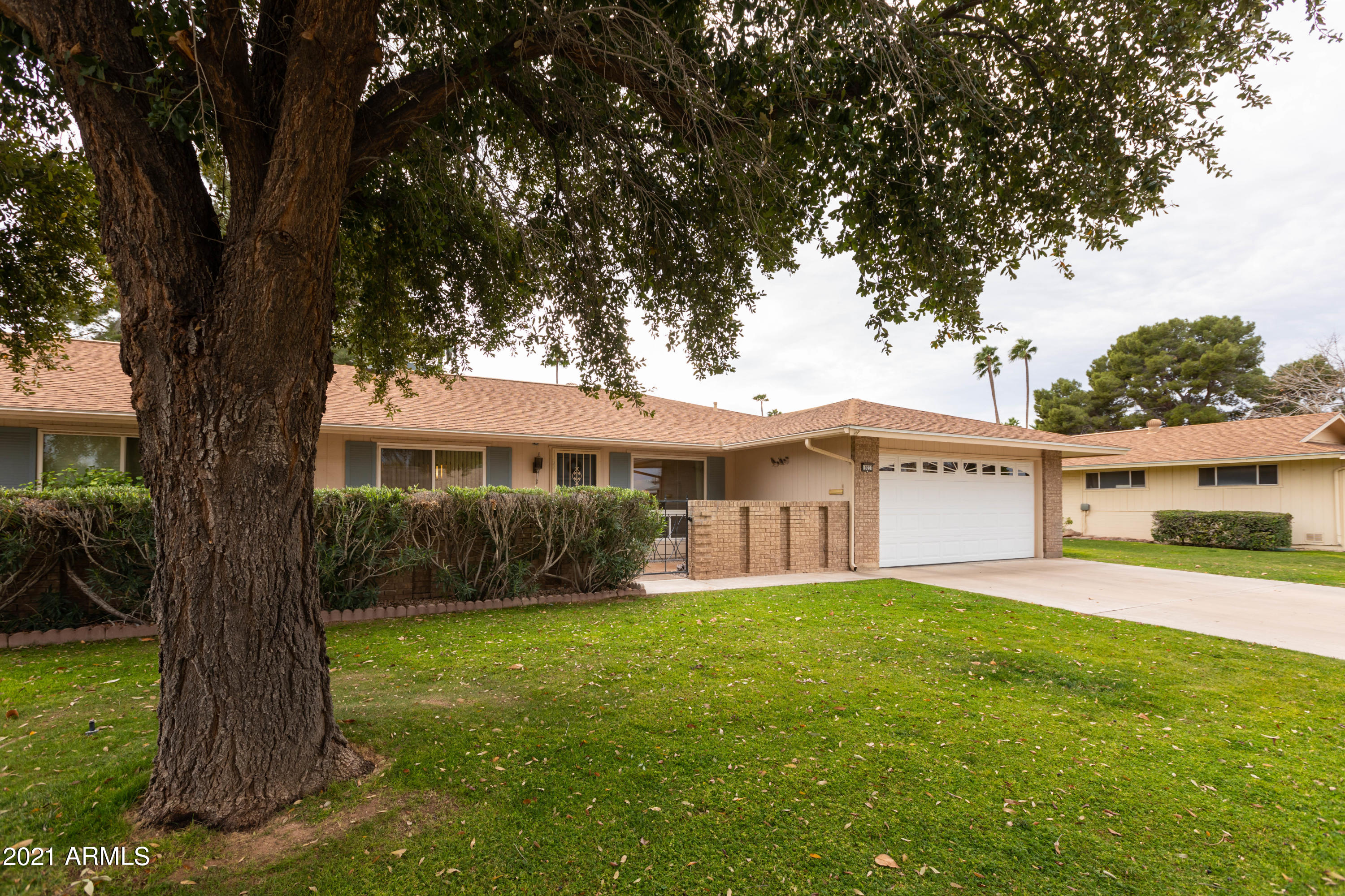 10207 West Royal Oak Road Sun City, AZ 85351 - Photo 3 of 38 shade tree in front