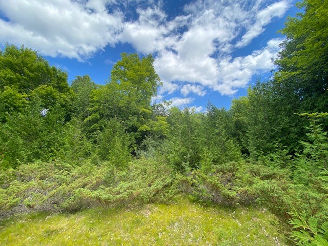 Lot 2 West Meadow Road Fish Creek, WI 54212 - Photo 7 of 40