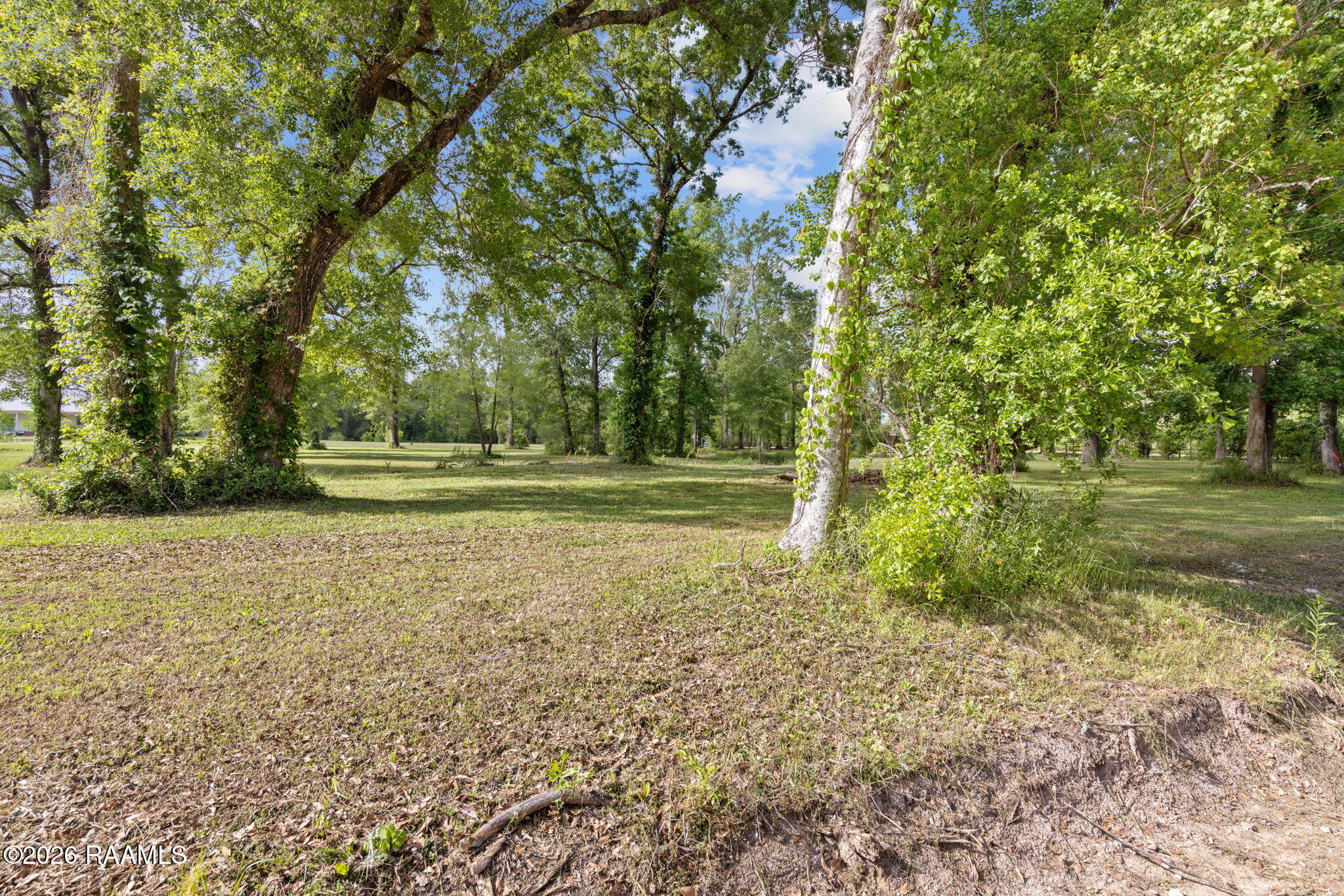 71 McVeigh Road Arnaudville, LA 70512 - Photo 1 of 15 1-web-or-mls-803A5237