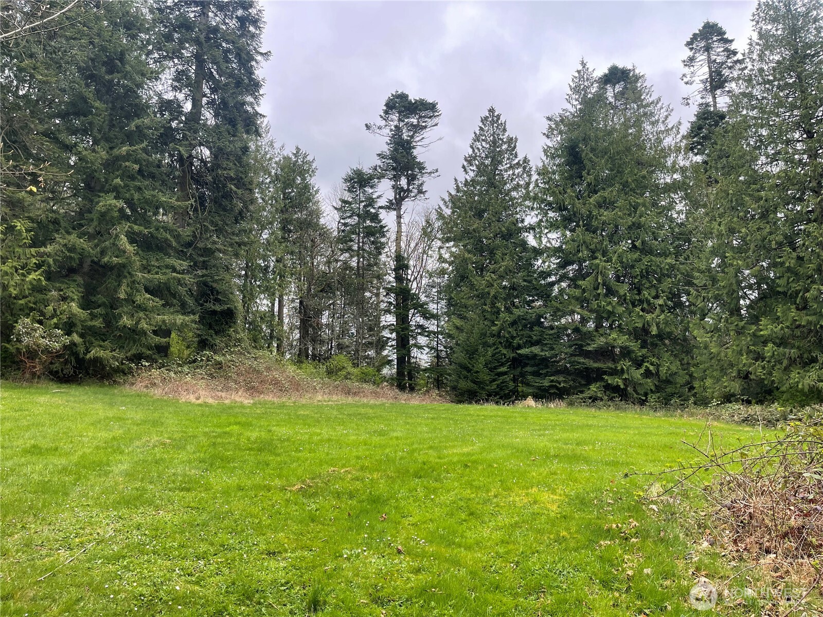 999 Old Ferry Road Port Hadlock, WA 98339 - Photo 2 of 8 Gallery Image 2