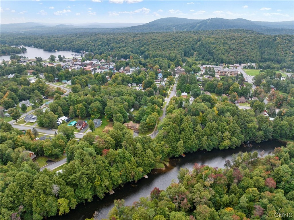 105 Riverside Drive Webb, NY 13420 - Photo 20 of 22 Overview - walk to town and minutes from McCauley