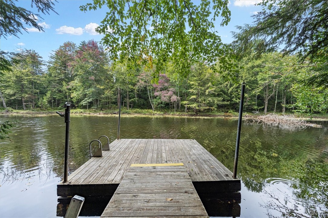 105 Riverside Drive Webb, NY 13420 - Photo 4 of 22 Lovely dock on the Moose River