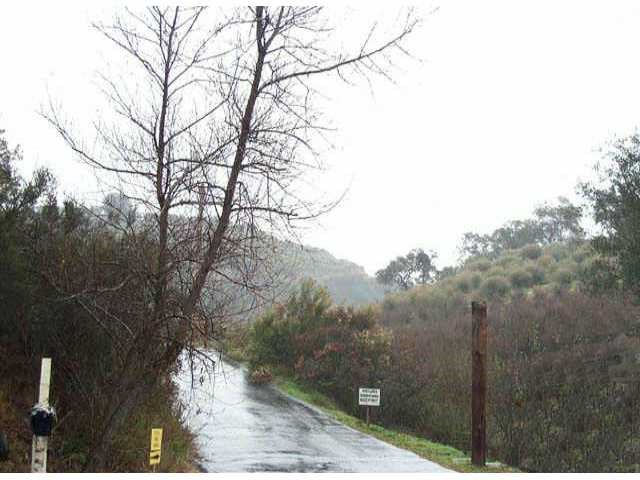 29521 Anthony Road Valley Center, CA 92082 - Photo 1 of 1 a view of a forest with a tree