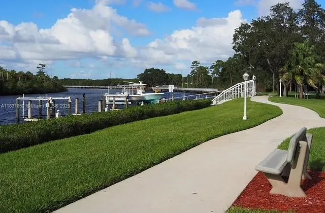 a view of a park with plants and trees