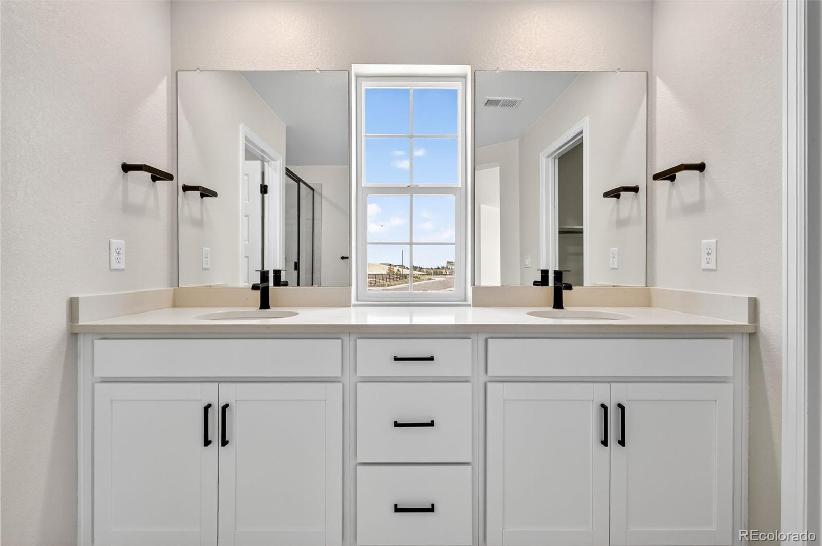 4334 Ridgewalk Point Castle Rock, CO 80108 - Photo 20 of 49