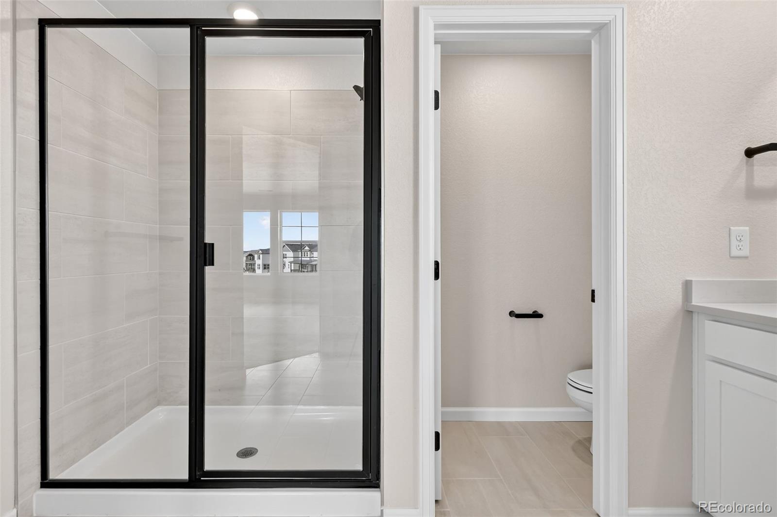 4334 Ridgewalk Point Castle Rock, CO 80108 - Photo 21 of 49