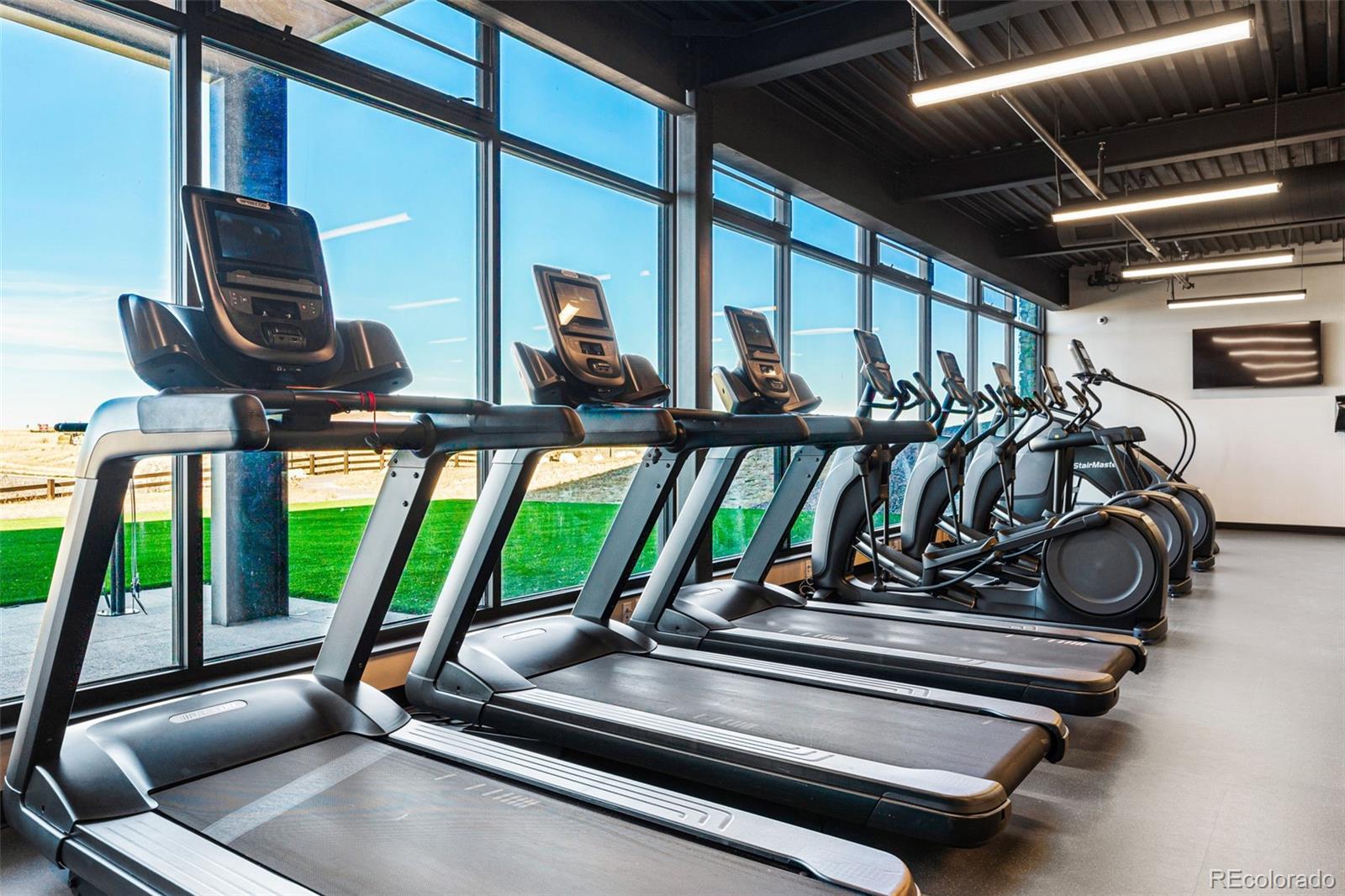 4334 Ridgewalk Point Castle Rock, CO 80108 - Photo 38 of 49