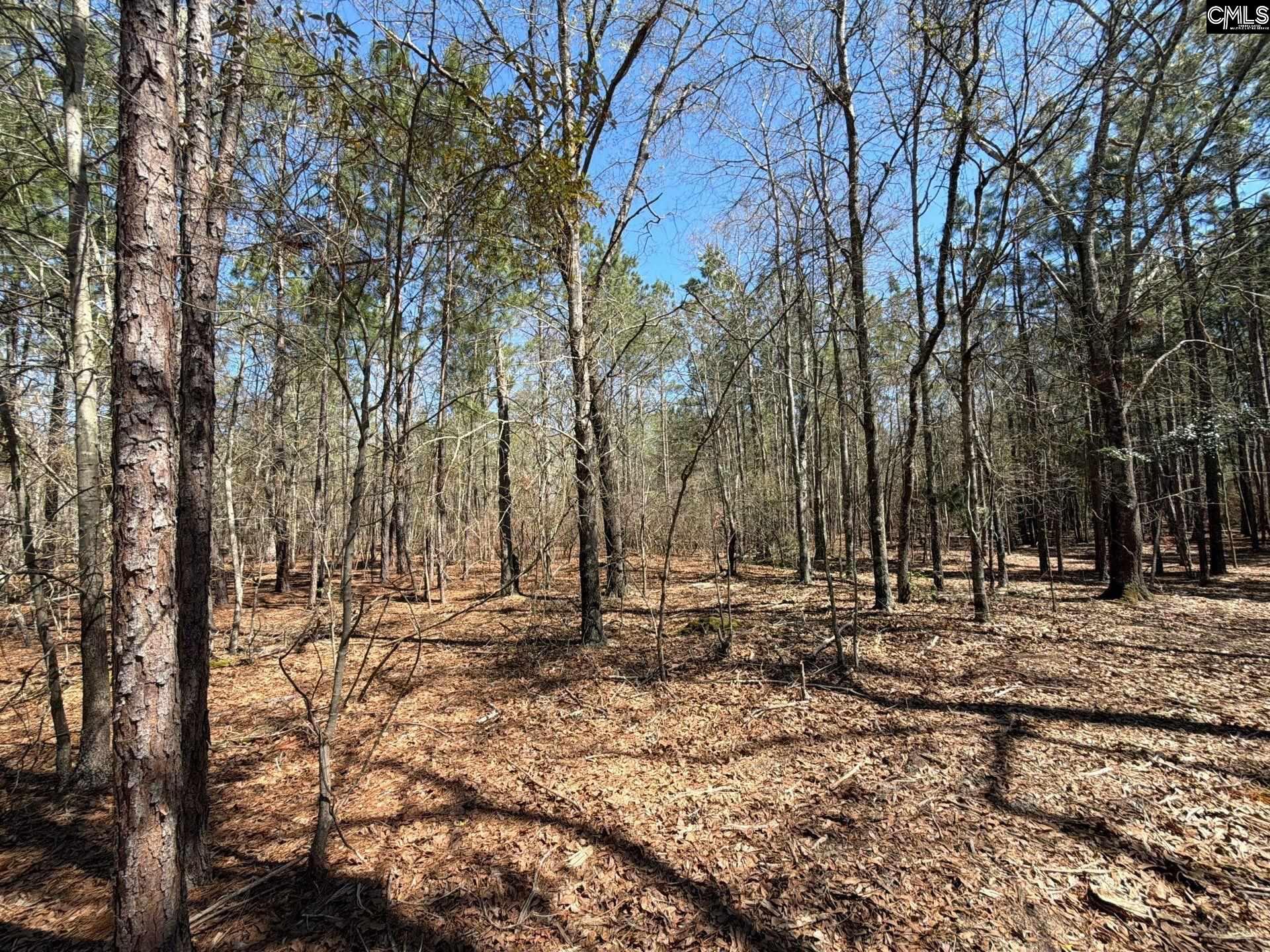 13 Boise Cascade Road, Unit BHL 13 Bethune, SC 29009 - Photo 7 of 31