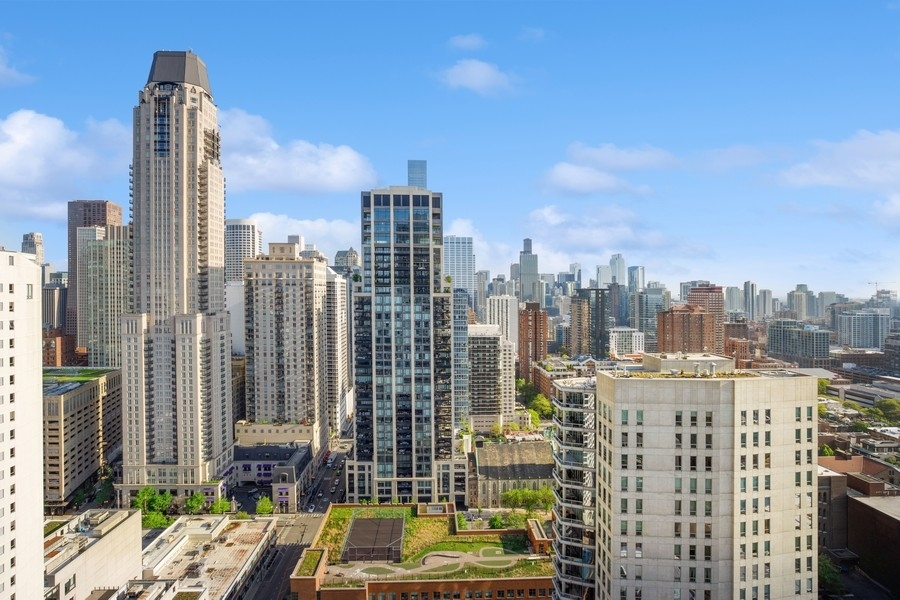 1030 North State Street, Unit 31K Chicago, IL 60610 - Photo 10 of 10