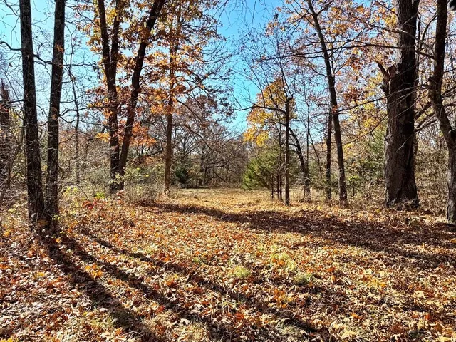 $257,000 | Tbdb South Tbdb S J Highway, Stockton, MO 65785