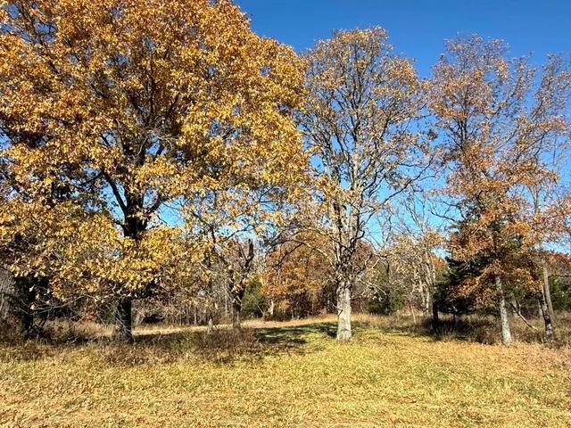 $257,000 | Tbdb South Tbdb S J Highway, Stockton, MO 65785