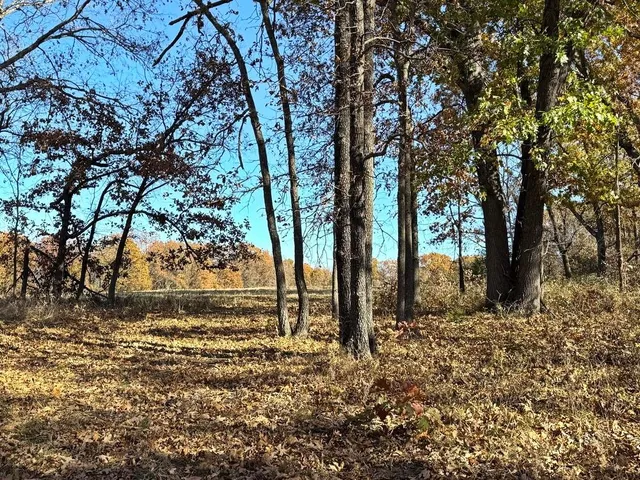 $257,000 | Tbdb South Tbdb S J Highway, Stockton, MO 65785