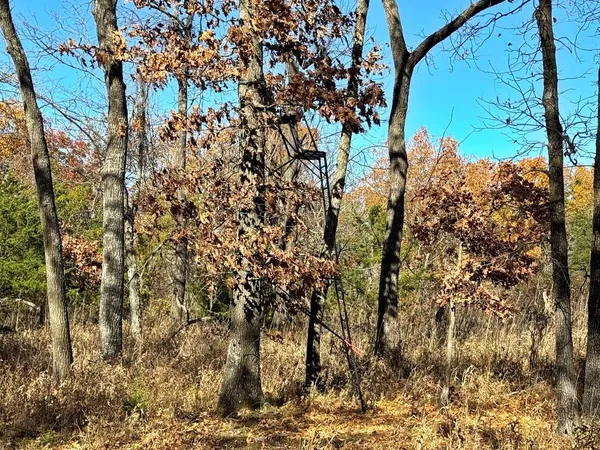 $257,000 | Tbdb South Tbdb S J Highway, Stockton, MO 65785
