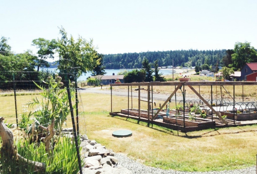 1318 Port Stanley Road Lopez Island, WA 98261 - Photo 6 of 17