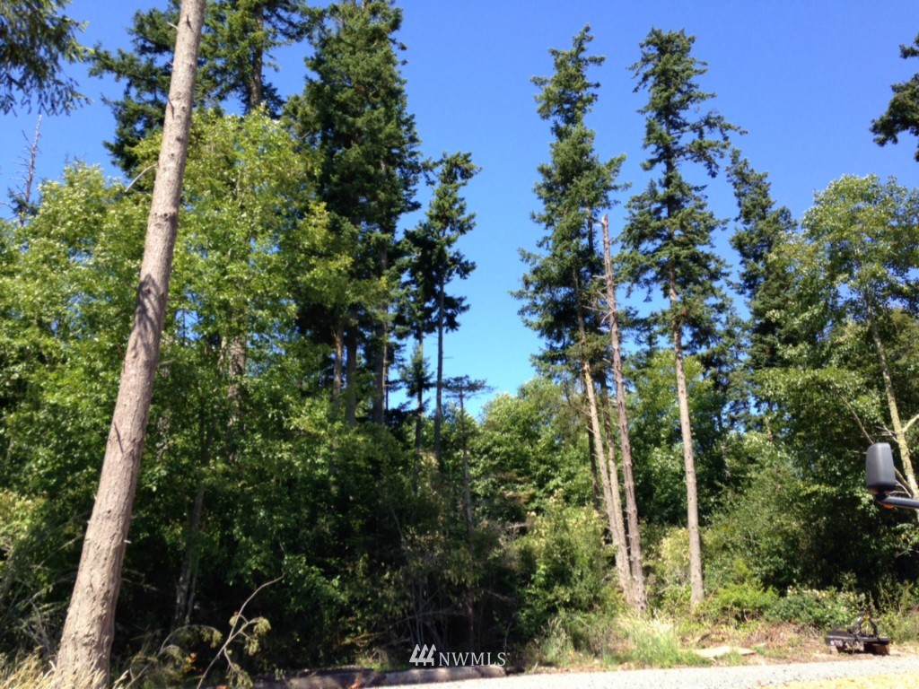 1318 Port Stanley Road Lopez Island, WA 98261 - Photo 10 of 17