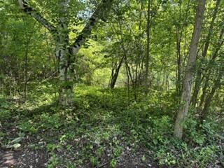 1745 West Dean Road River Hills, WI 53217 - Photo 6 of 6 Dean 4