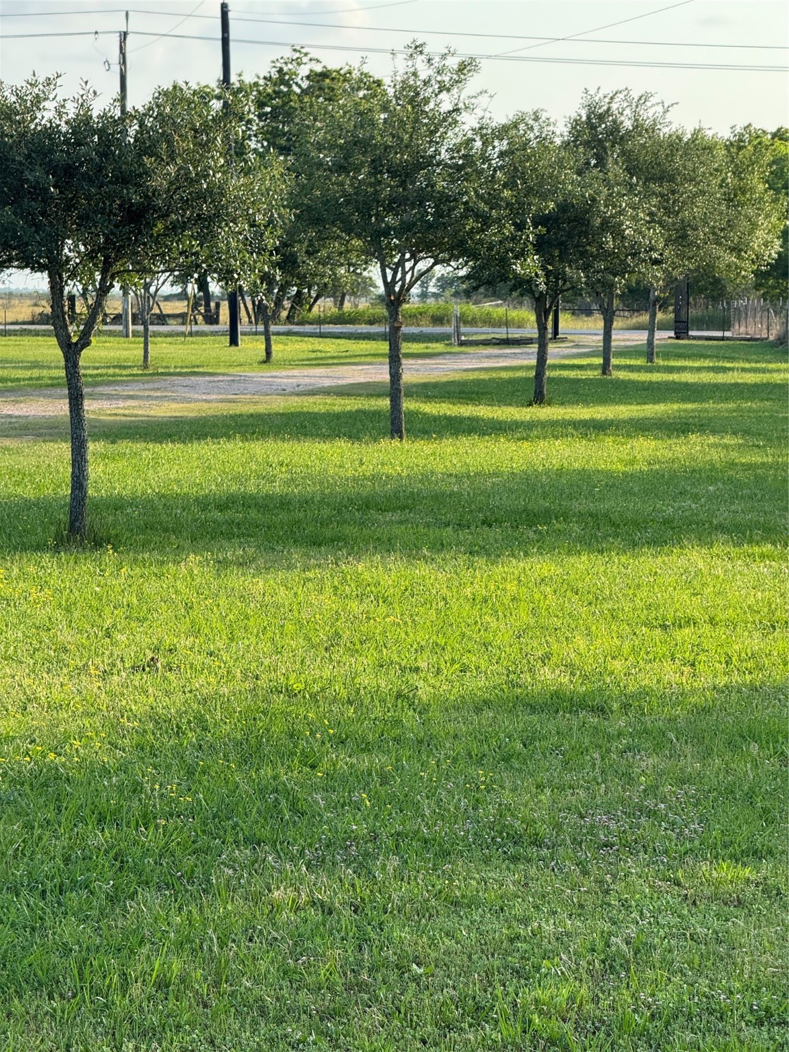 2310 Hopkins Road Beasley, TX 77417 - Photo 3 of 29