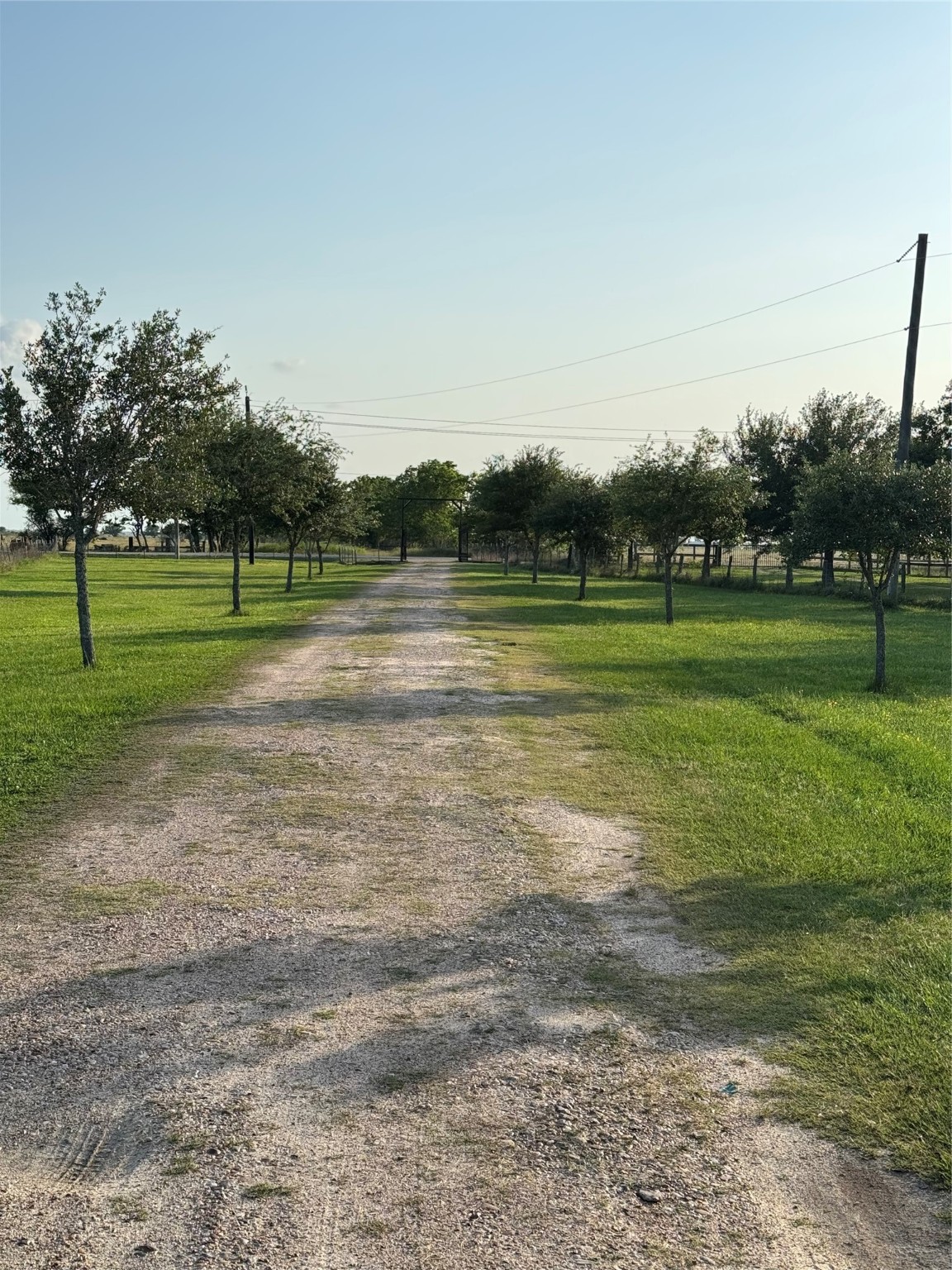 2310 Hopkins Road Beasley, TX 77417 - Photo 4 of 29