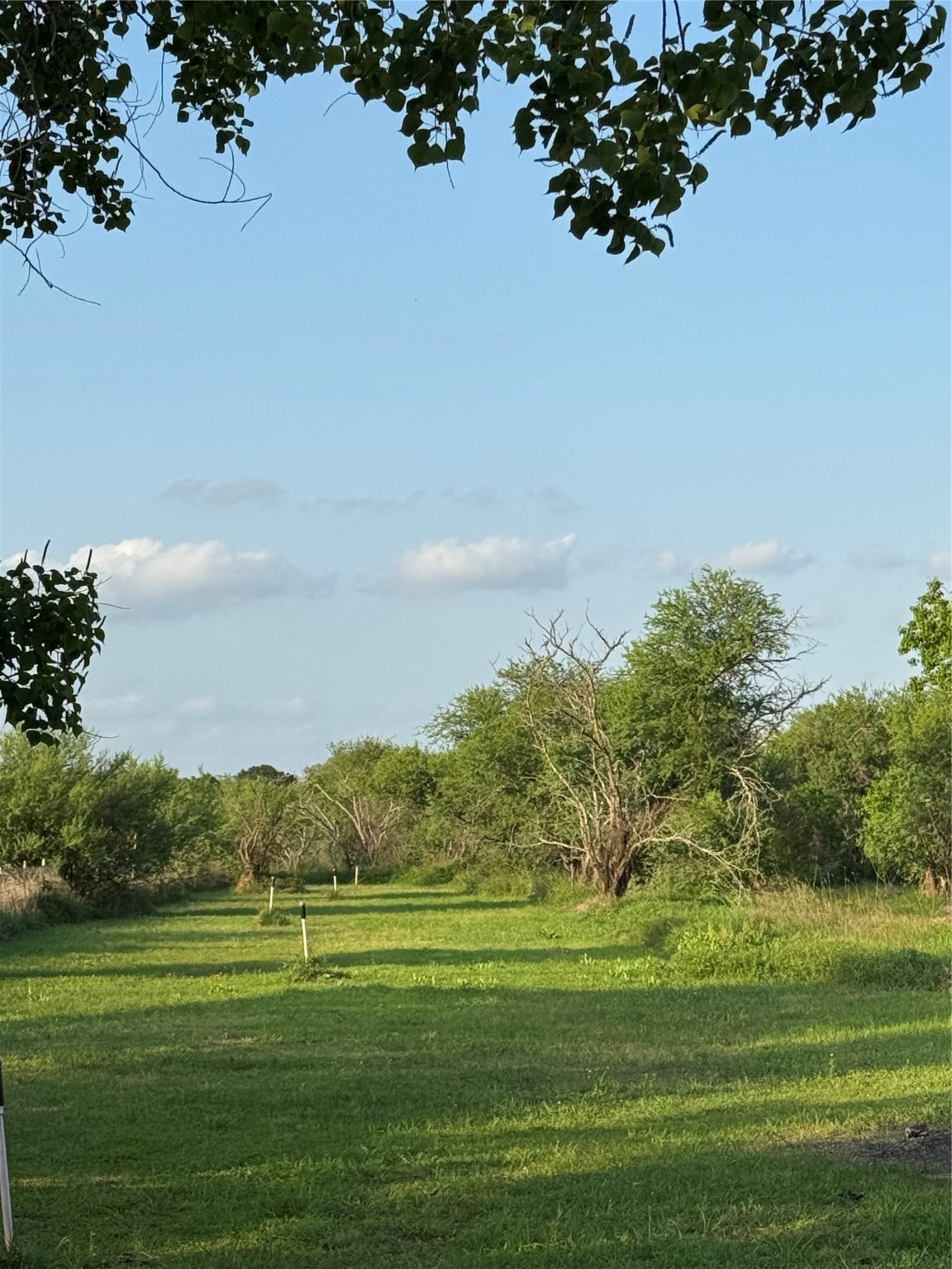 2310 Hopkins Road Beasley, TX 77417 - Photo 7 of 29