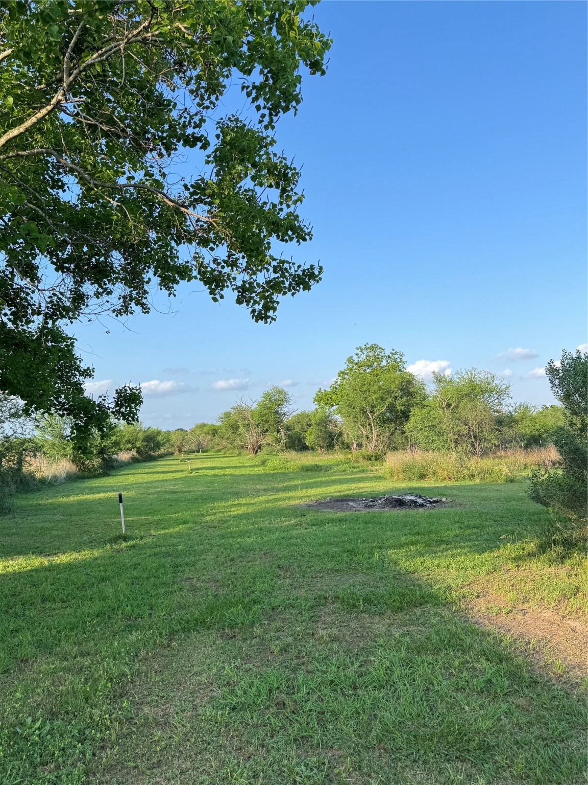 2310 Hopkins Road Beasley, TX 77417 - Photo 8 of 29