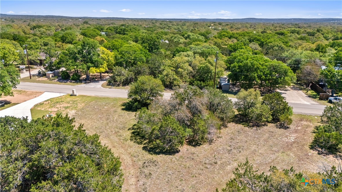 1510 Misty Lane Spring Branch, TX 78070 - Photo 14 of 16