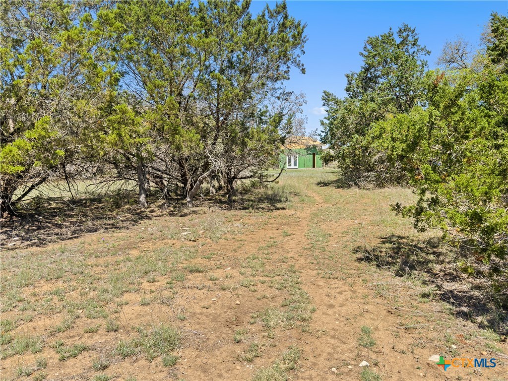 1510 Misty Lane Spring Branch, TX 78070 - Photo 6 of 16