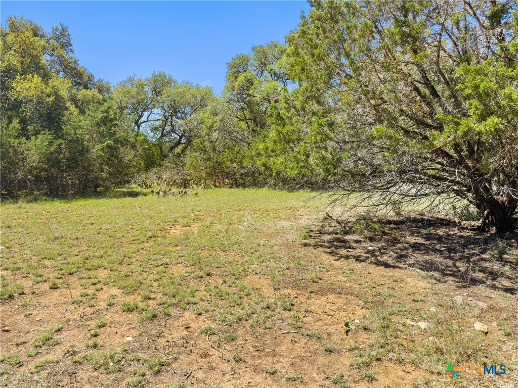 1510 Misty Lane Spring Branch, TX 78070 - Photo 8 of 16