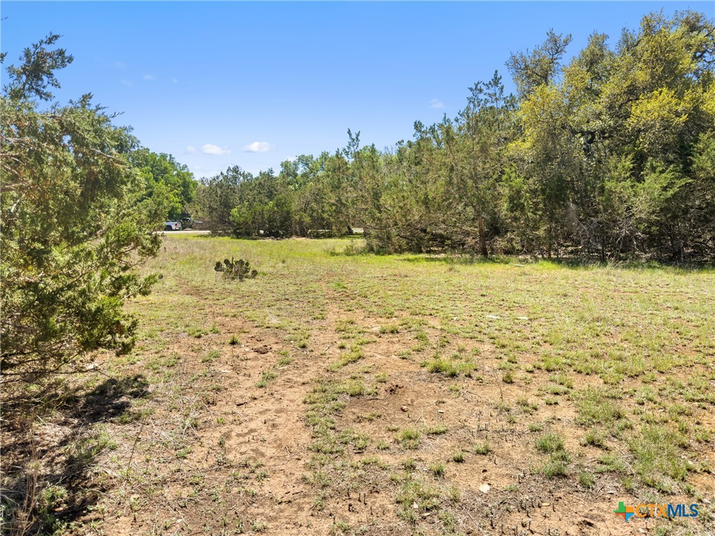 1510 Misty Lane Spring Branch, TX 78070 - Photo 9 of 16