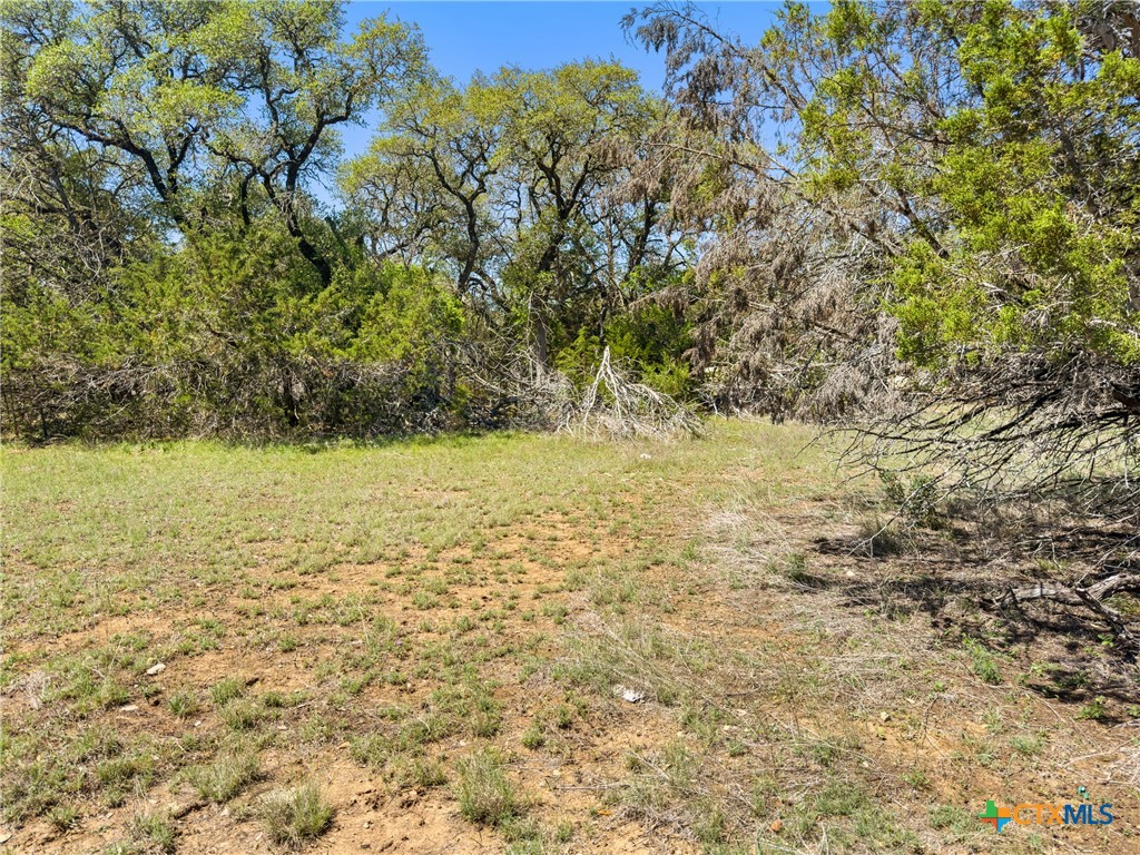 1510 Misty Lane Spring Branch, TX 78070 - Photo 10 of 16