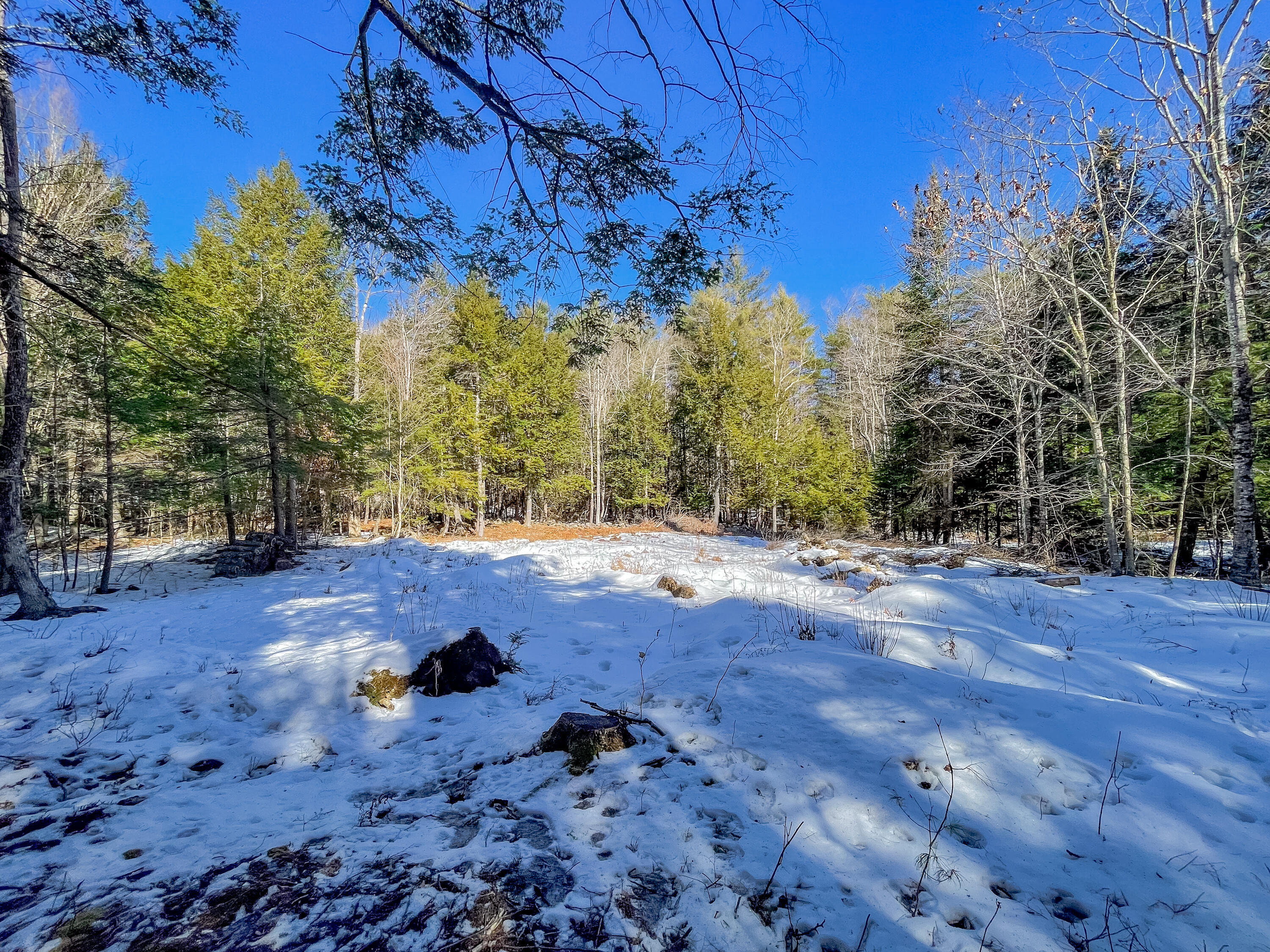 Lot #2 Augusta Road Bowdoin, ME 04287 - Photo 16 of 24 Lot #2B Augusta Road Bowdoin 016