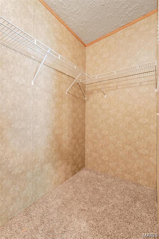 3900 Rice Road Hillsboro, MO 63050 - Photo 23 of 47