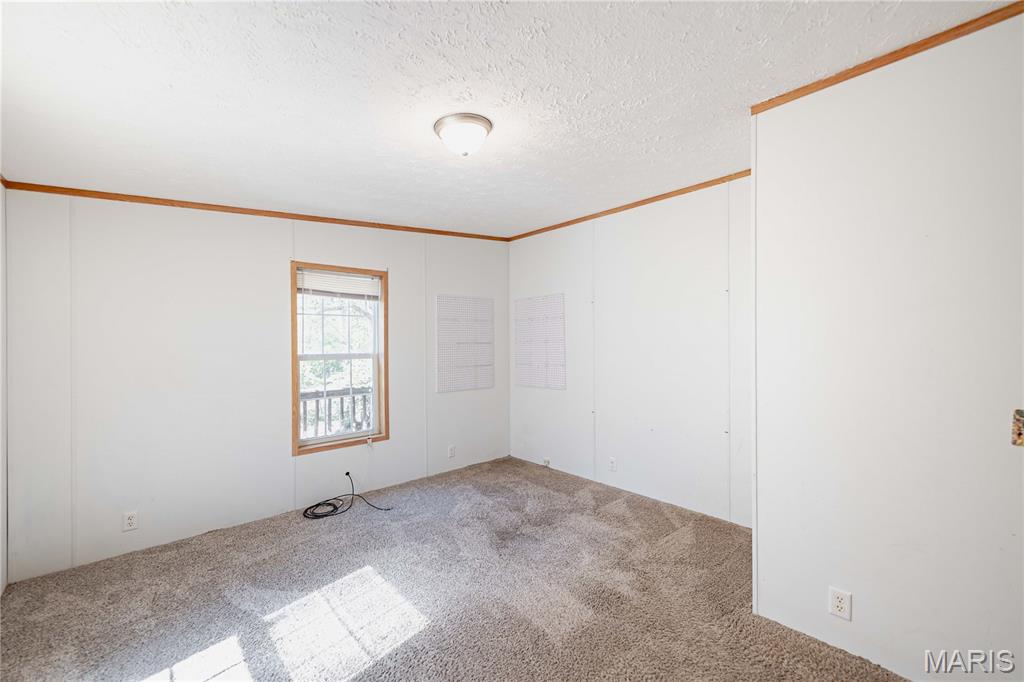 3900 Rice Road Hillsboro, MO 63050 - Photo 25 of 47