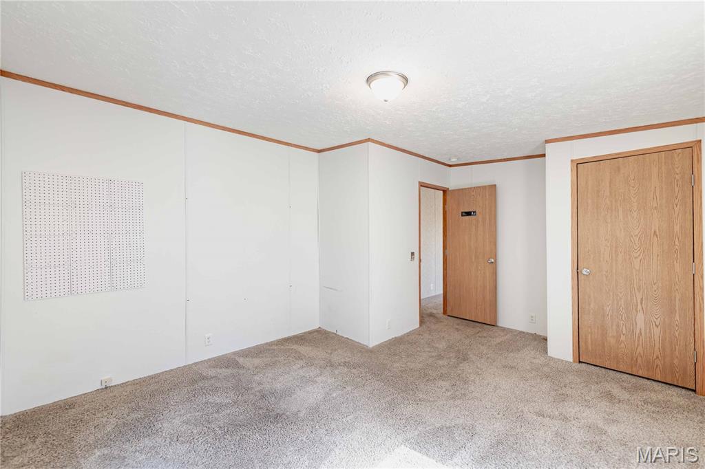 3900 Rice Road Hillsboro, MO 63050 - Photo 26 of 47