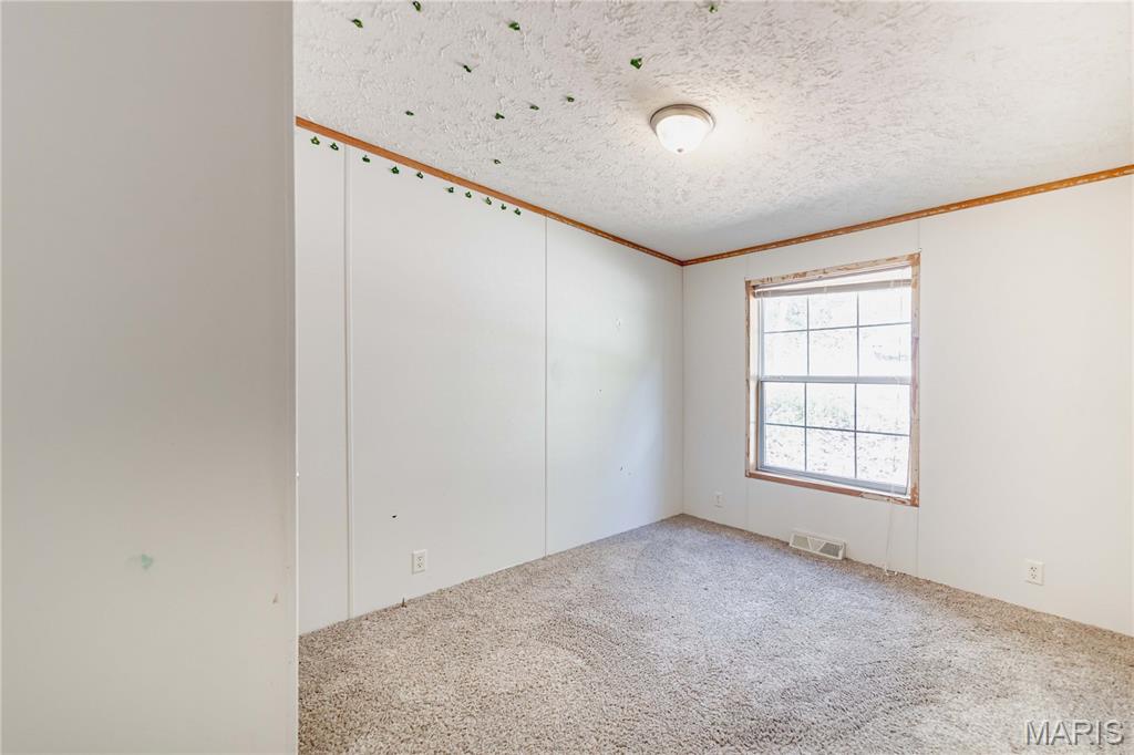 3900 Rice Road Hillsboro, MO 63050 - Photo 29 of 47