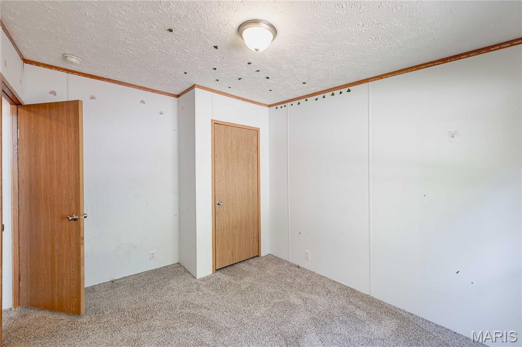 3900 Rice Road Hillsboro, MO 63050 - Photo 30 of 47