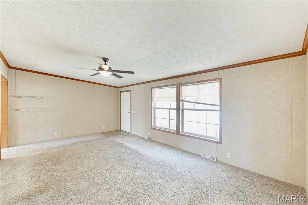 3900 Rice Road Hillsboro, MO 63050 - Photo 3 of 47