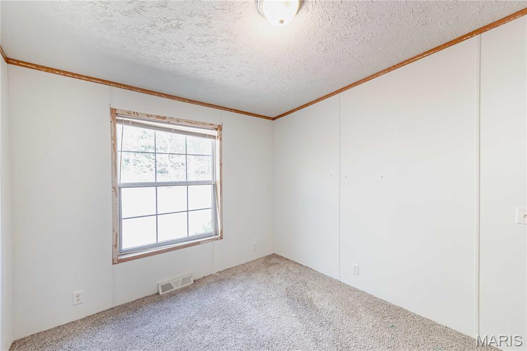 3900 Rice Road Hillsboro, MO 63050 - Photo 32 of 47