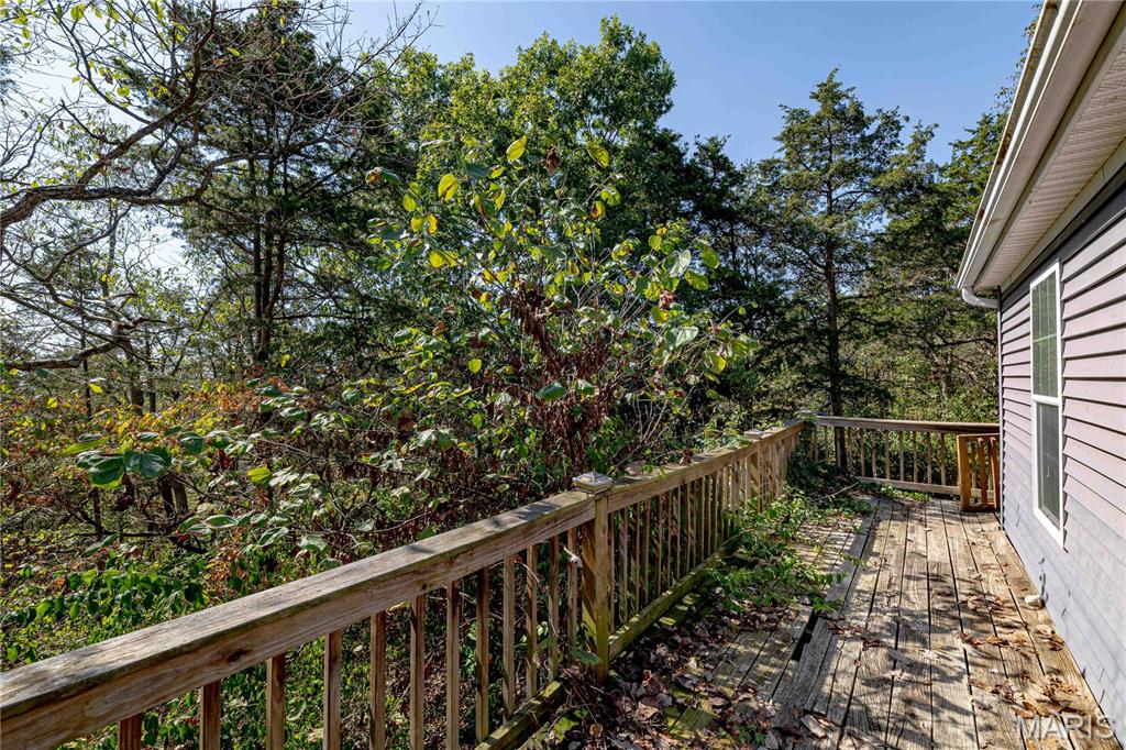 3900 Rice Road Hillsboro, MO 63050 - Photo 38 of 47