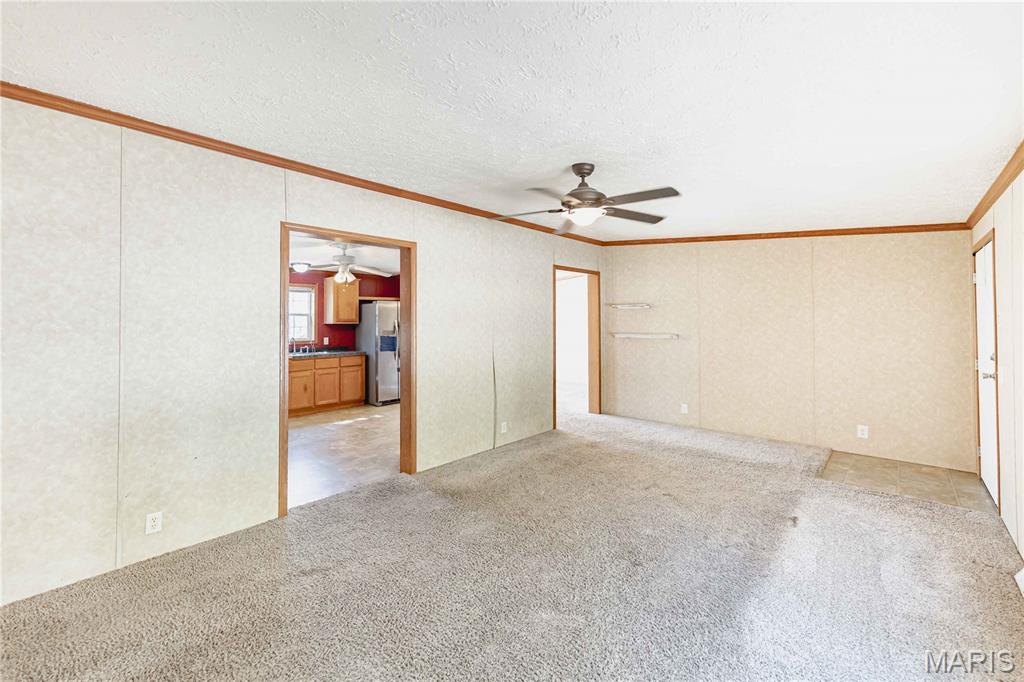 3900 Rice Road Hillsboro, MO 63050 - Photo 4 of 47