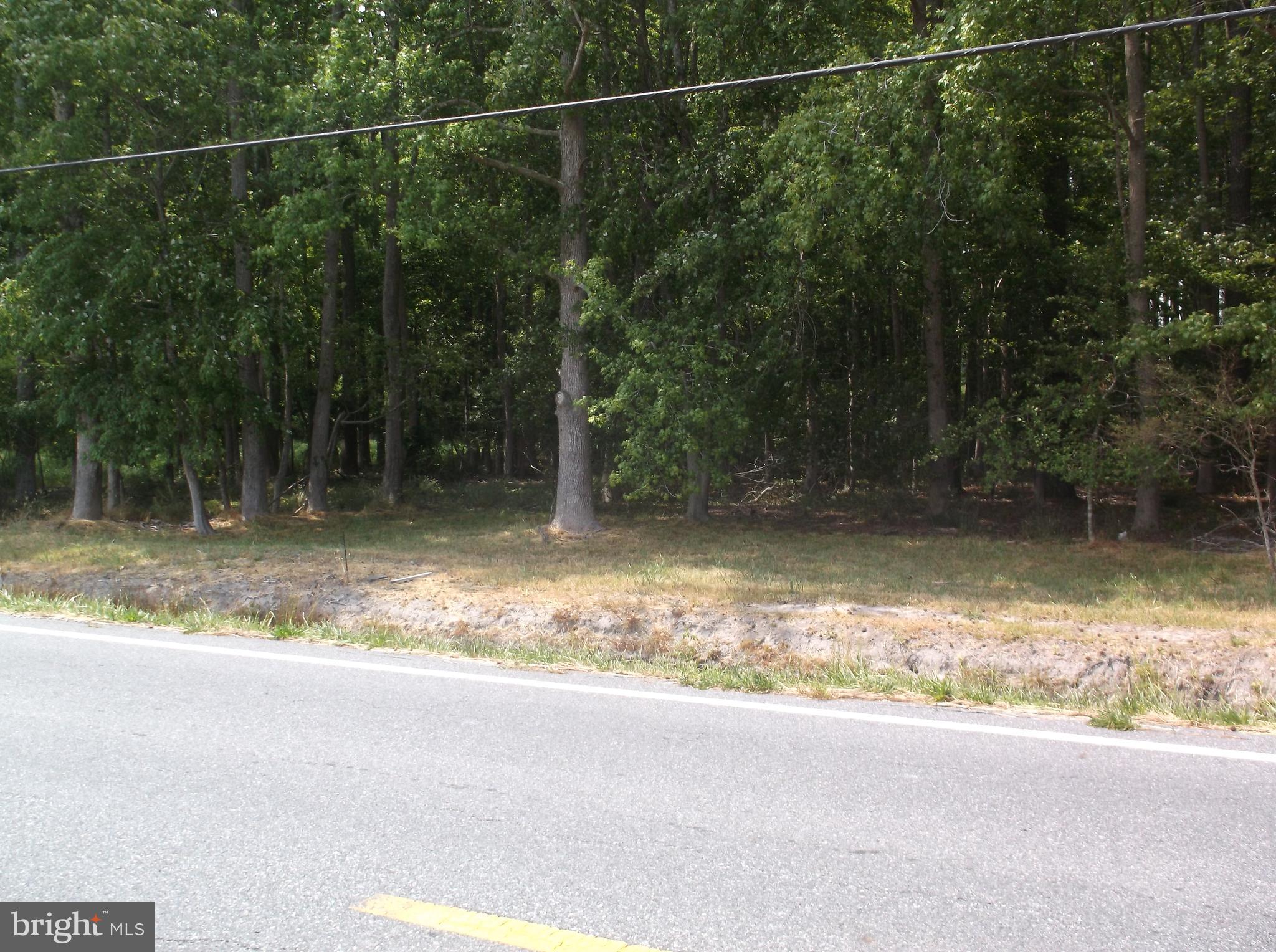 Lot Fairmount Fairmount Road Westover, MD 21871 - Photo 1 of 1 Gallery Image 1
