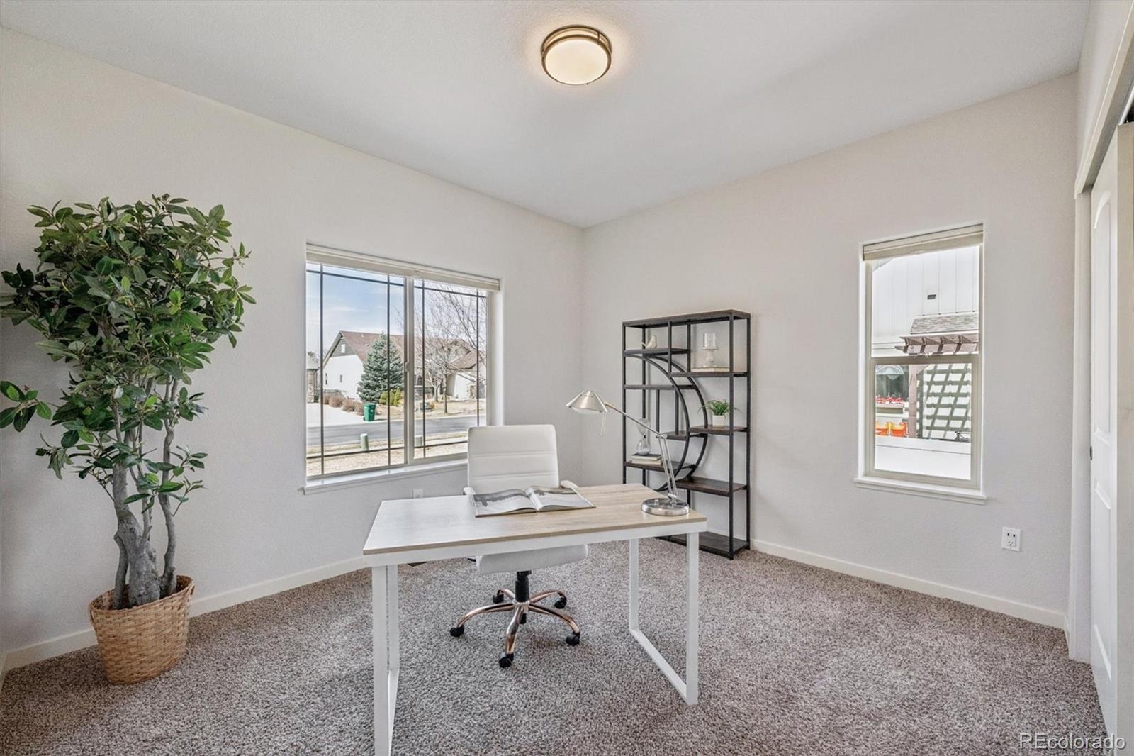 3674 Watts Street Timnath, CO 80547 - Photo 19 of 49