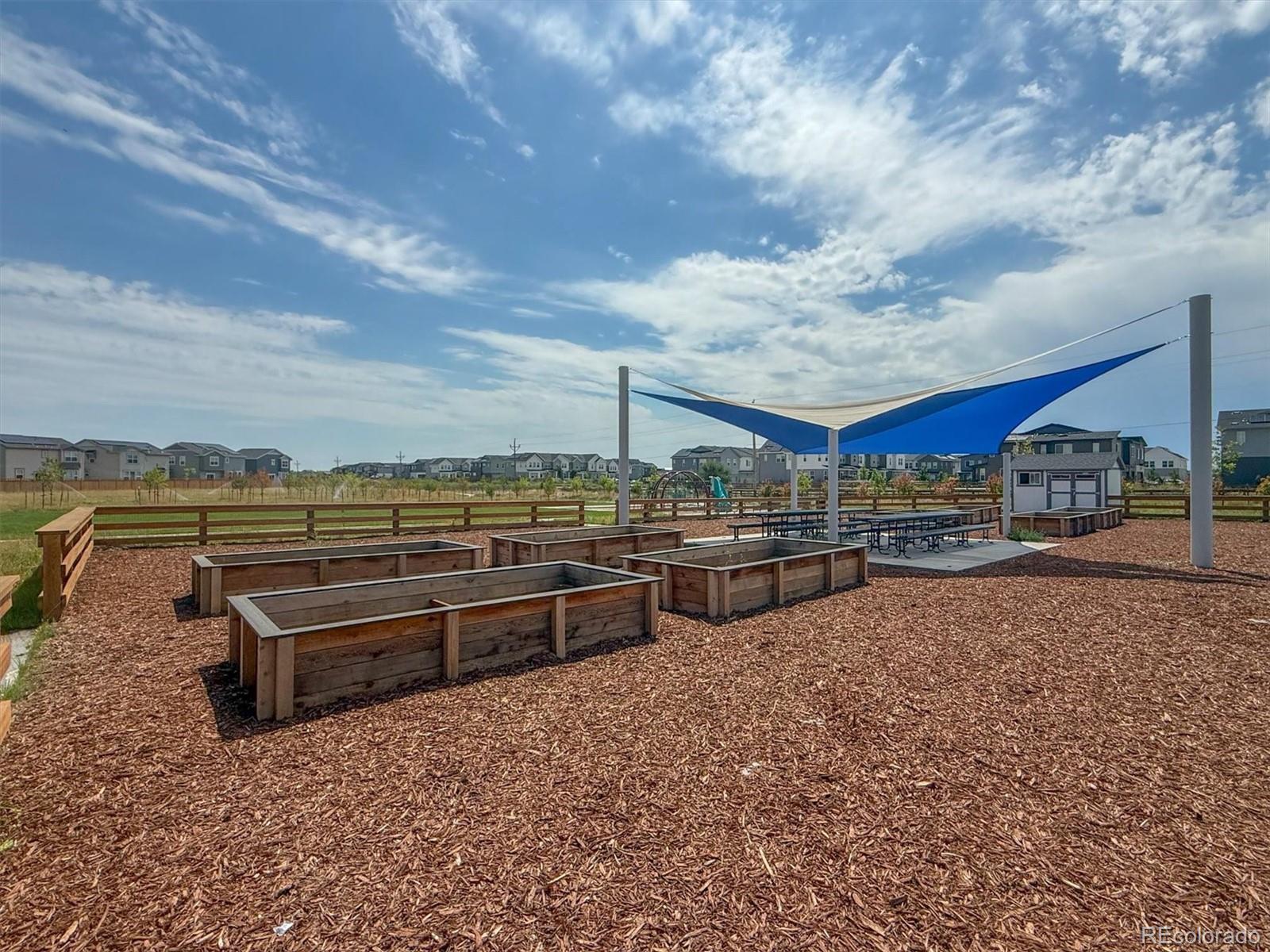 3674 Watts Street Timnath, CO 80547 - Photo 43 of 49