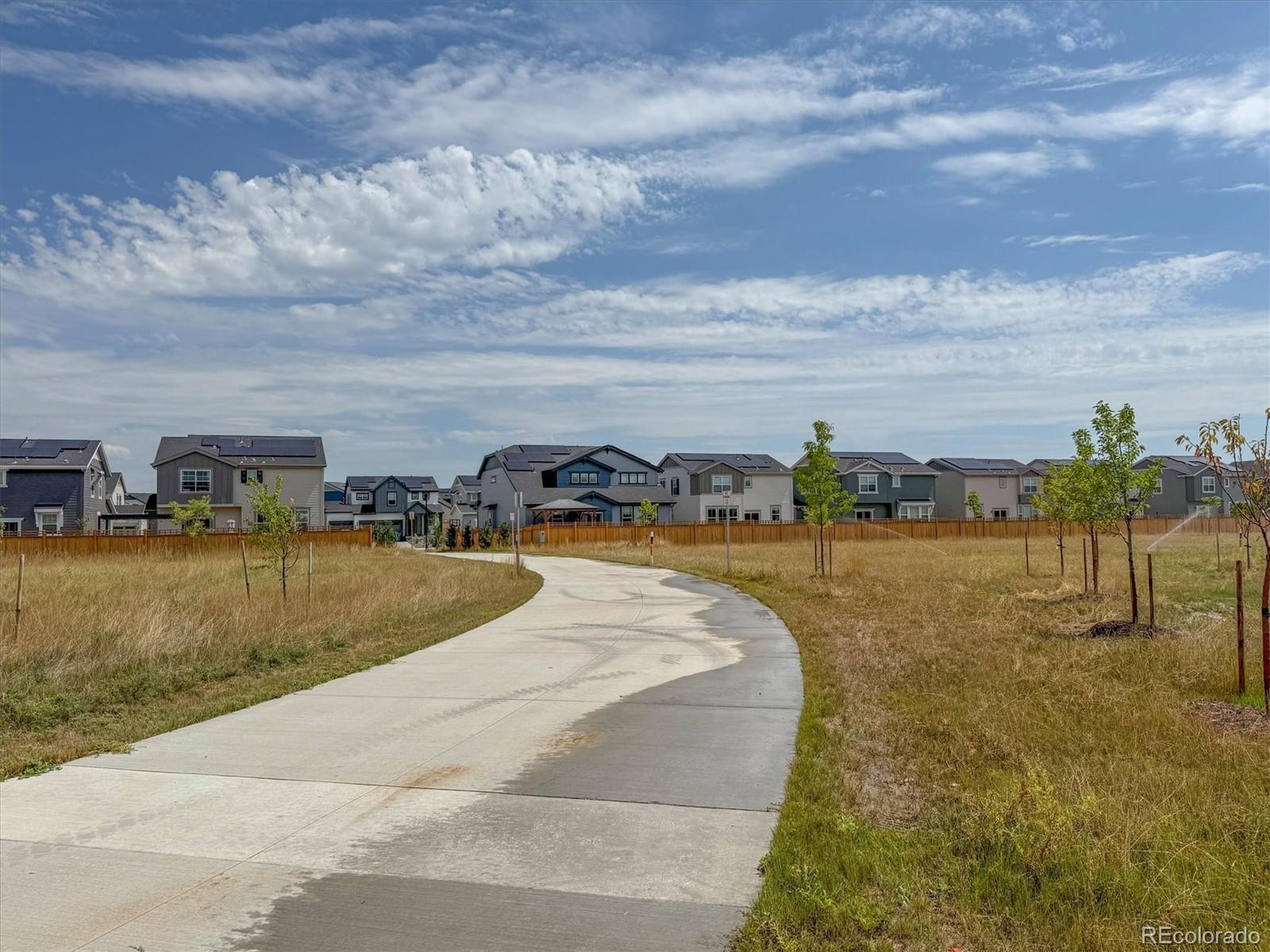3674 Watts Street Timnath, CO 80547 - Photo 46 of 49