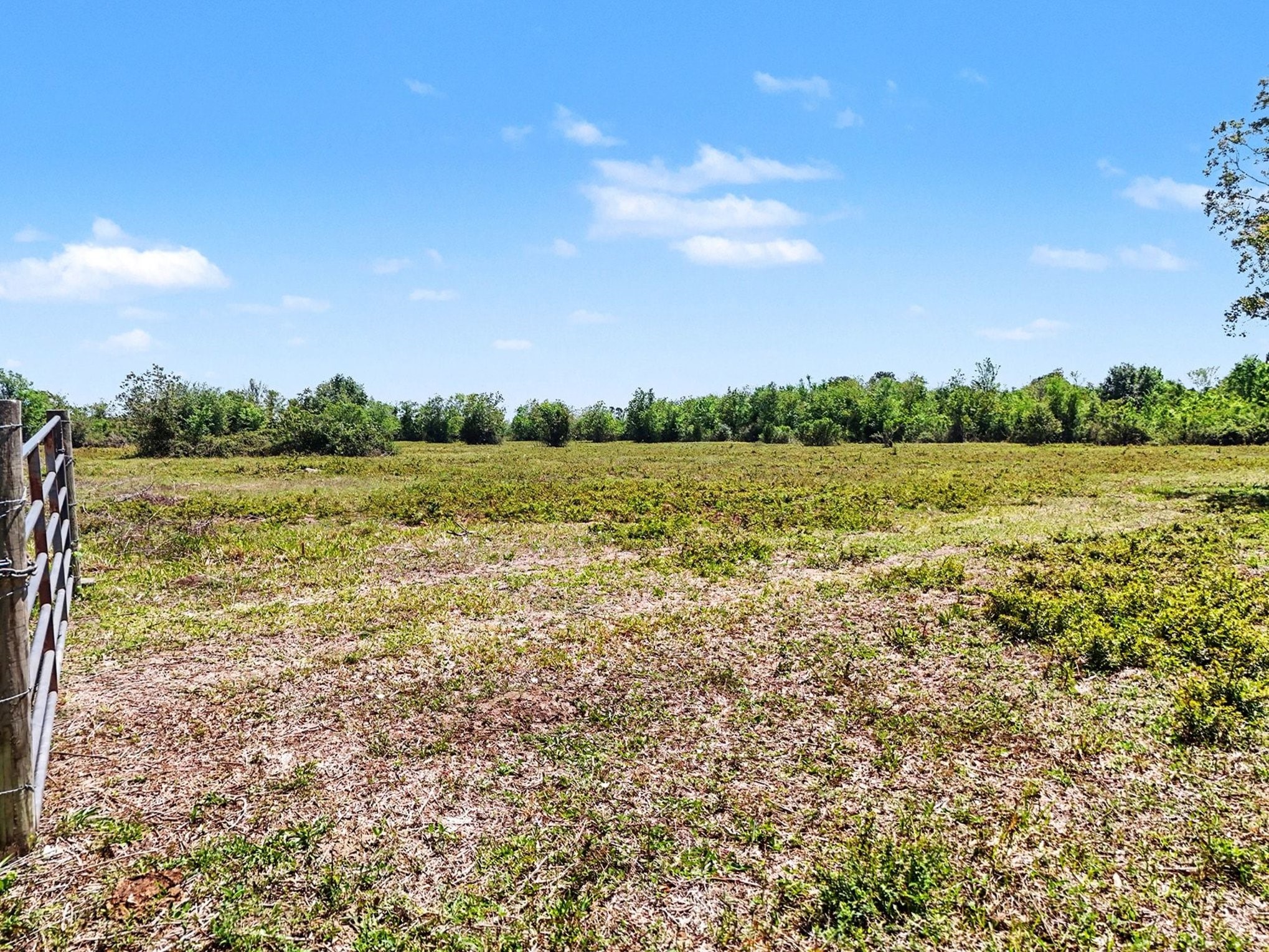 0 County Road 57 Rosharon, TX 77583 - Photo 17 of 20