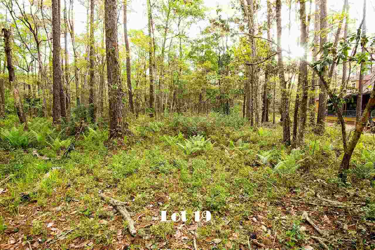 19 Birdwatch Lane Fairhope, AL 36532 - Photo 2 of 13