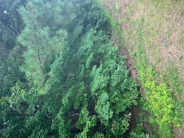 3533 McEver Road Gainesville, GA 30504 - Photo 1 of 6