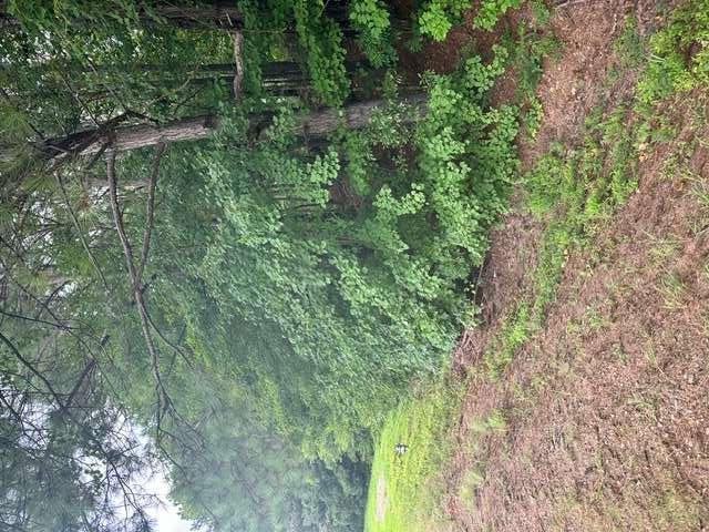 3533 McEver Road Gainesville, GA 30504 - Photo 2 of 6