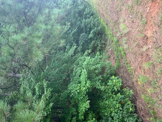 3533 McEver Road Gainesville, GA 30504 - Photo 4 of 6