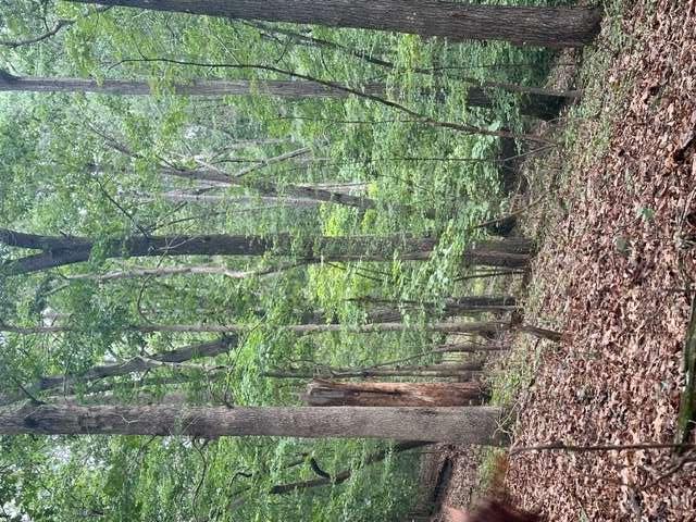 3533 McEver Road Gainesville, GA 30504 - Photo 6 of 6