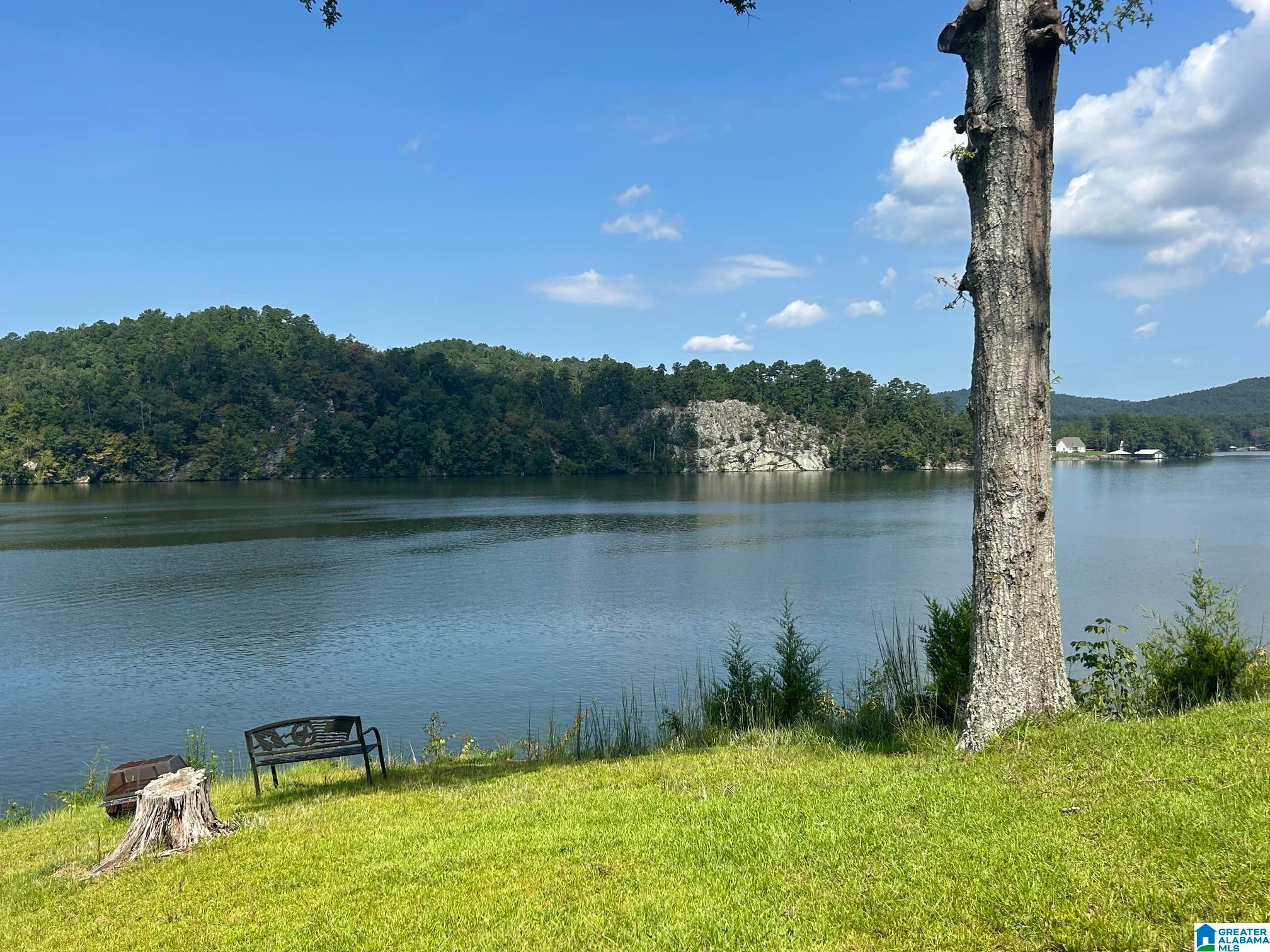 2040 Mohawk Cliff Road Ohatchee, AL 36271 - Photo 20 of 49 Gallery Image 20
